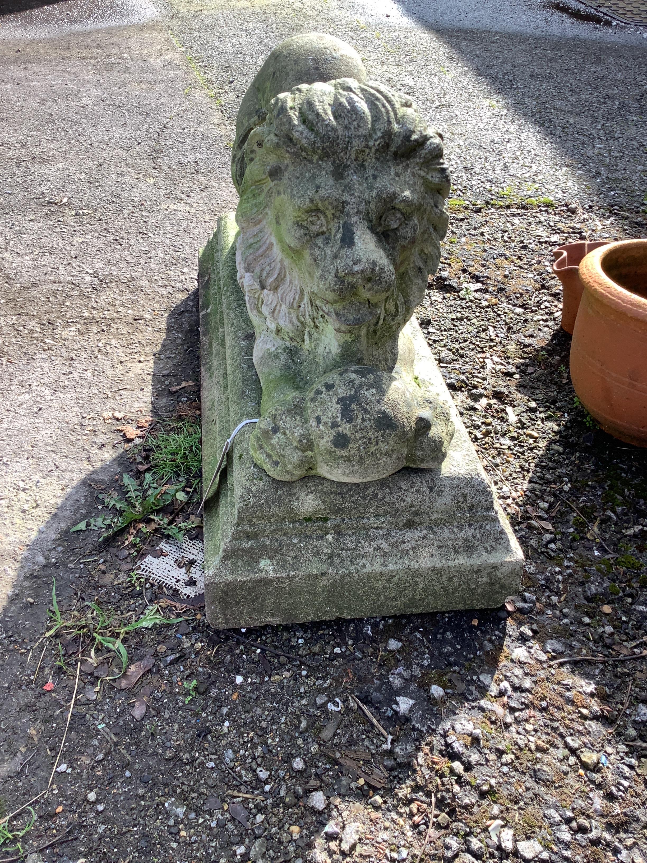 A reconstituted stone recumbent lion garden ornament on base, width 66cm, depth 28cm, height 42cm